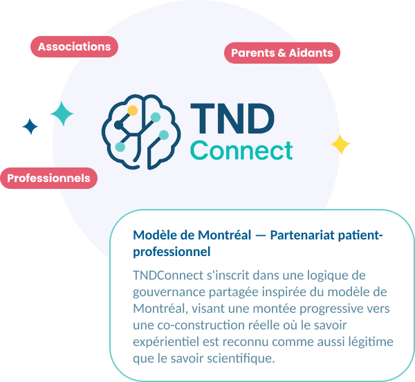 schéma expliquant le cadre du comité des usagers de TND
